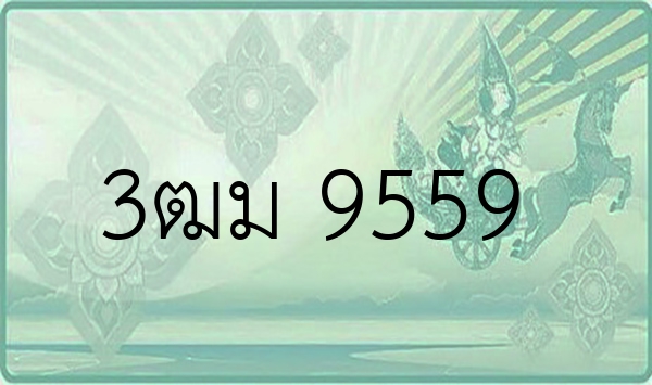 3ฒม 9559